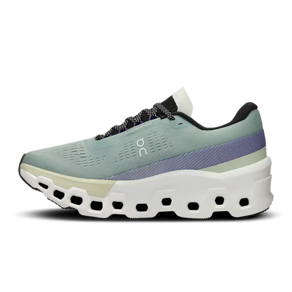 On Cloudmonster 2
